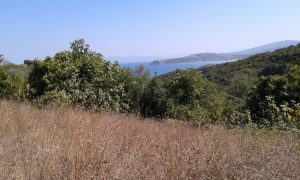 mudanya-egerce-satilik-tarla