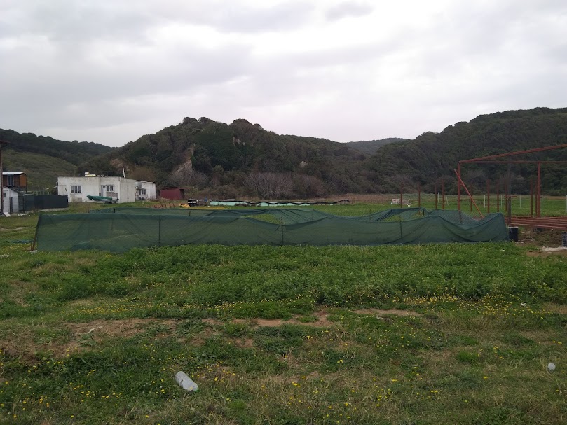 Mudanya Eğerce'de arsa