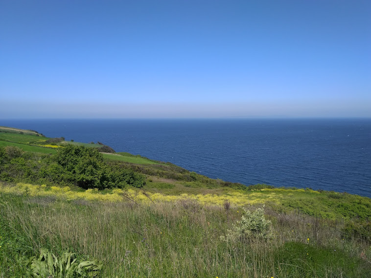 Bursa Mudanya satılık tarla