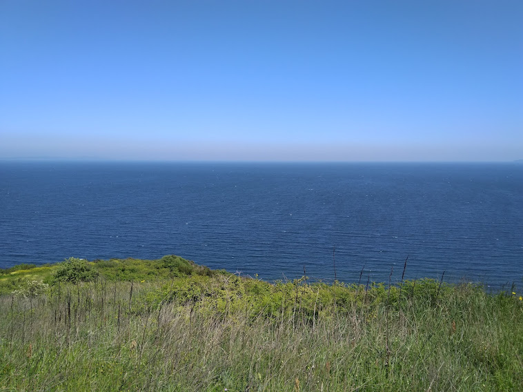 Bursa'da satılık tarla